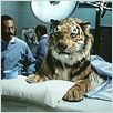 Dr. Dolittle : photo Betty Thomas, Eddie Murphy