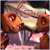 Antz – Was krabbelt da? : photo