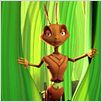 Antz – Was krabbelt da? : photo