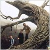 Sleepy Hollow : photo