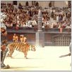 Gladiator : photo Ridley Scott, Russell Crowe