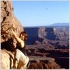 Mission: Impossible II : photo John Woo, Tom Cruise