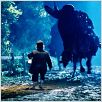 Der Herr der Ringe - Die Gefährten : photo Peter Jackson