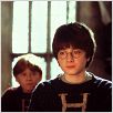 Harry Potter und der Stein der Weisen : photo Chris Columbus, Daniel Radcliffe, Rupert Grint