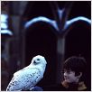 Harry Potter und der Stein der Weisen : photo Chris Columbus, Daniel Radcliffe