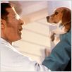 Cats & Dogs - Wie Hund und Katz : photo Jeff Goldblum, Lawrence Guterman