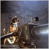 Cats & Dogs - Wie Hund und Katz : photo Lawrence Guterman