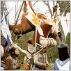Die Ritter der Kokosnuss : photo