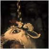 Amadeus : photo Tom Hulce