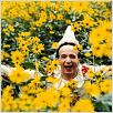 Pinocchio : photo Roberto Benigni