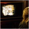 The Ring : photo
