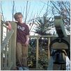 Like Mike : photo Jonathan Lipnicki