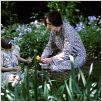 The Hours : photo Nicole Kidman, Stephen Daldry