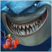 Findet Nemo : photo