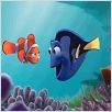 Findet Nemo : photo