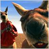 Kangaroo Jack : photo