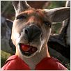 Kangaroo Jack : photo