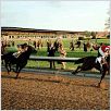 Seabiscuit : photo