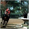 Seabiscuit : photo