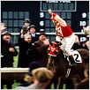 Seabiscuit : photo