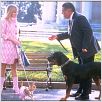 Natürlich blond 2 : photo Reese Witherspoon