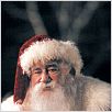 Buddy - Der Weihnachtself : photo Edward Asner