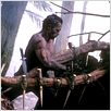 Predator : photo