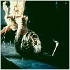 Das Ding aus einer anderen Welt : photo John Carpenter