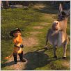 Shrek 2 - Der tollkühne Held kehrt zurück : photo