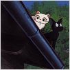 Kiki´s kleiner Lieferservice : photo Hayao Miyazaki