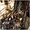 Batman Begins : photo Christopher Nolan