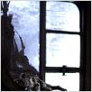 Harry Potter und der Gefangene von Askaban : photo