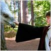 Harry Potter und der Gefangene von Askaban : photo