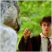 Harry Potter und der Gefangene von Askaban : photo