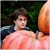 Harry Potter und der Gefangene von Askaban : photo Alfonso Cuarón, Daniel Radcliffe