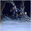Ghost Rider : photo Mark Steven Johnson, Nicolas Cage