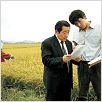 Memories Of Murder : photo