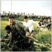 Memories Of Murder : photo