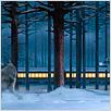 Der Polarexpress : photo Robert Zemeckis
