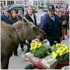 Willkommen in Mooseport : photo Donald Petrie, Gene Hackman, Marcia Gay Harden