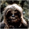 Krieg der Sterne : photo George Lucas, Peter Mayhew