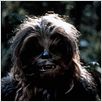 Krieg der Sterne : photo George Lucas, Peter Mayhew