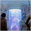 Krieg der Sterne : photo George Lucas