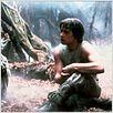 Das Imperium schlägt zurück : photo Mark Hamill