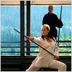 Elektra : photo Jennifer Garner, Terence Stamp