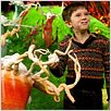 Charlie und die Schokoladenfabrik : photo Freddie Highmore, Tim Burton