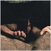 The Ring 2 : photo Hideo Nakata, Kelly Stables