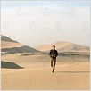 Der Flug des Phoenix : photo Dennis Quaid, John Moore