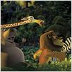 Madagascar : photo Eric Darnell