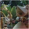 Madagascar : photo Eric Darnell